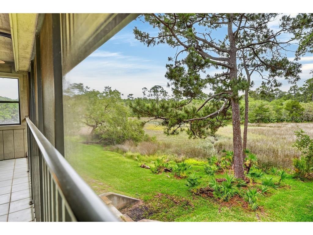 18 Talavera Court #18 Saint Augustine FL 32086 FC318392 image23