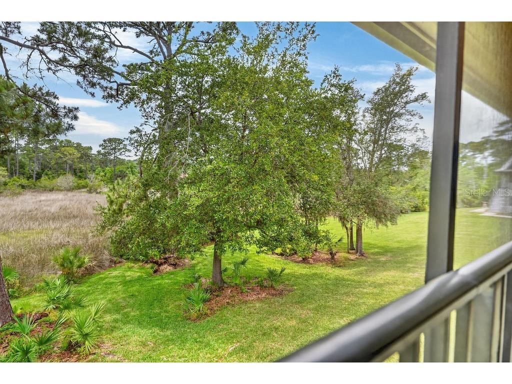 18 Talavera Court #18 Saint Augustine FL 32086 FC318392 image24