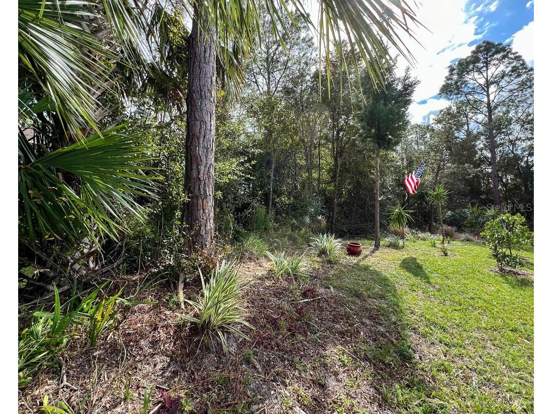 18 Watermill Place Palm Coast FL 32164 W7883424 image15