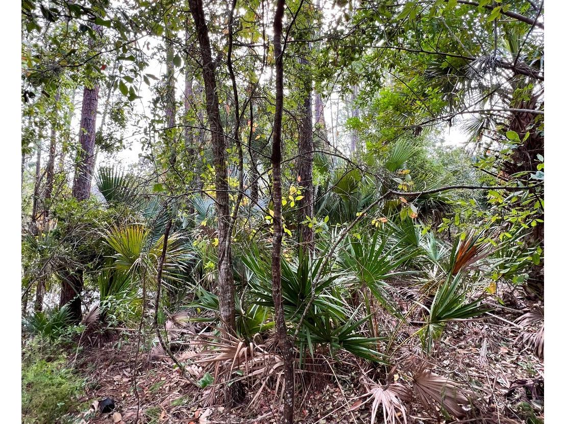 18 Watermill Place Palm Coast FL 32164 W7883424 image16