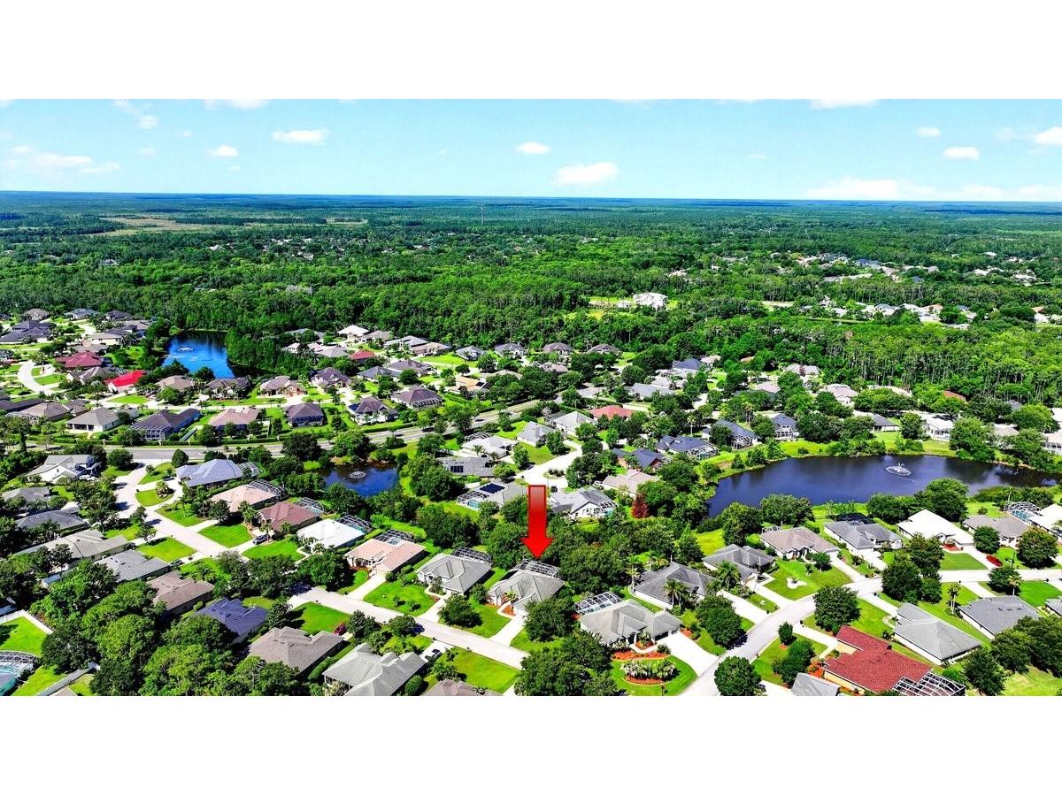 180 Black Hickory Way Ormond Beach FL 32174 NS1088526 image39