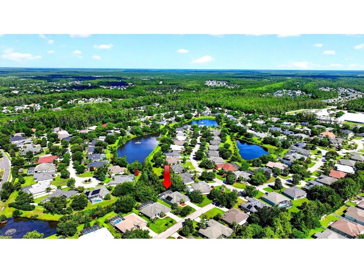 180 Black Hickory Way Ormond Beach FL 32174 NS1088526 image40
