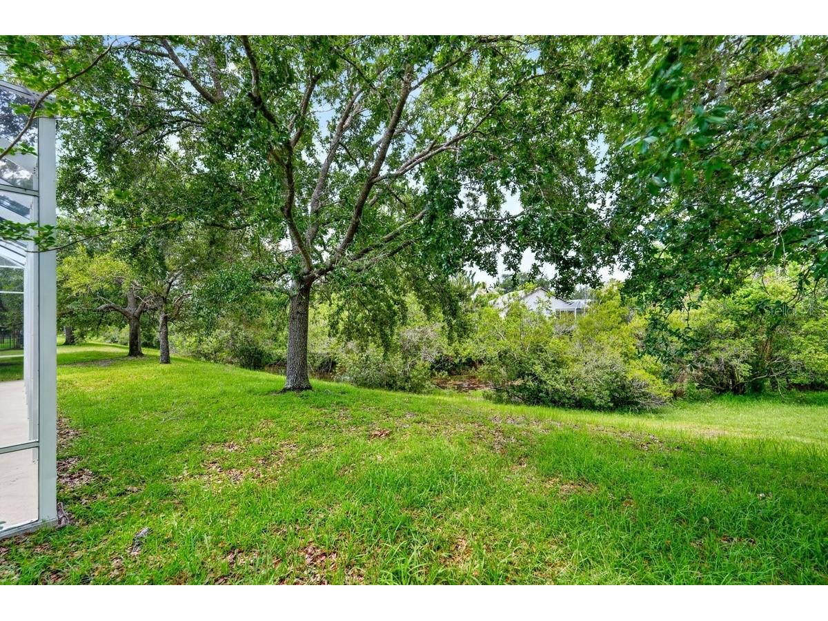 180 Black Hickory Way Ormond Beach FL 32174 NS1088526 image41
