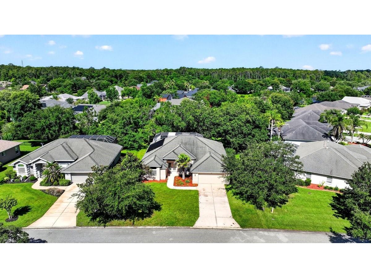 180 Black Hickory Way Ormond Beach FL 32174 NS1088526 image45