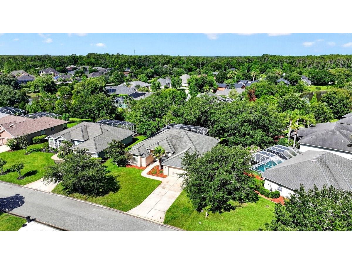 180 Black Hickory Way Ormond Beach FL 32174 NS1088526 image46