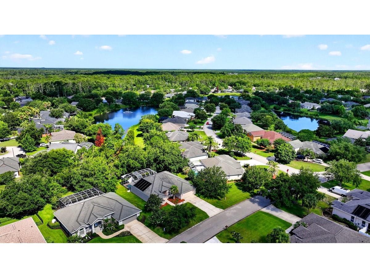 180 Black Hickory Way Ormond Beach FL 32174 NS1088526 image47