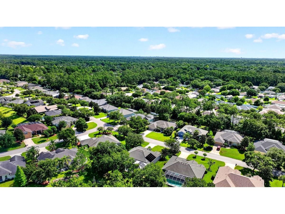 180 Black Hickory Way Ormond Beach FL 32174 NS1088526 image48