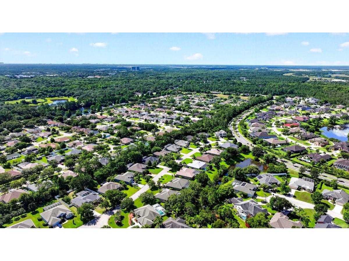 180 Black Hickory Way Ormond Beach FL 32174 NS1088526 image49