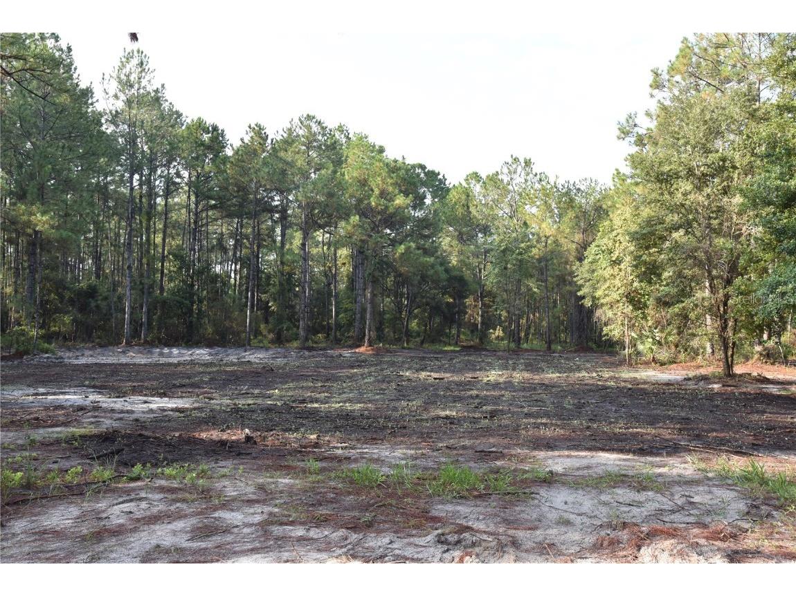 180 Caravelle Farms Road Palatka FL 32177 OM709724 image10