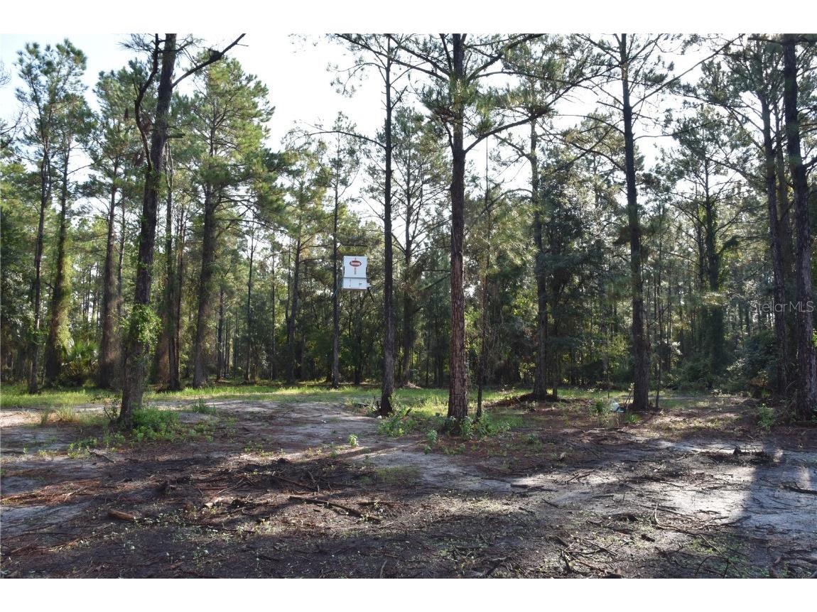 180 Caravelle Farms Road Palatka FL 32177 OM709724 image16