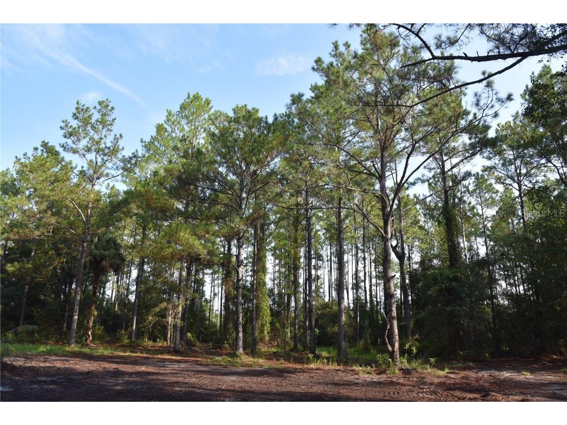 180 Caravelle Farms Road Palatka FL 32177 OM709724 image17