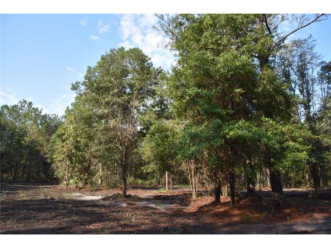 180 Caravelle Farms Road Palatka FL 32177 OM709724 image18