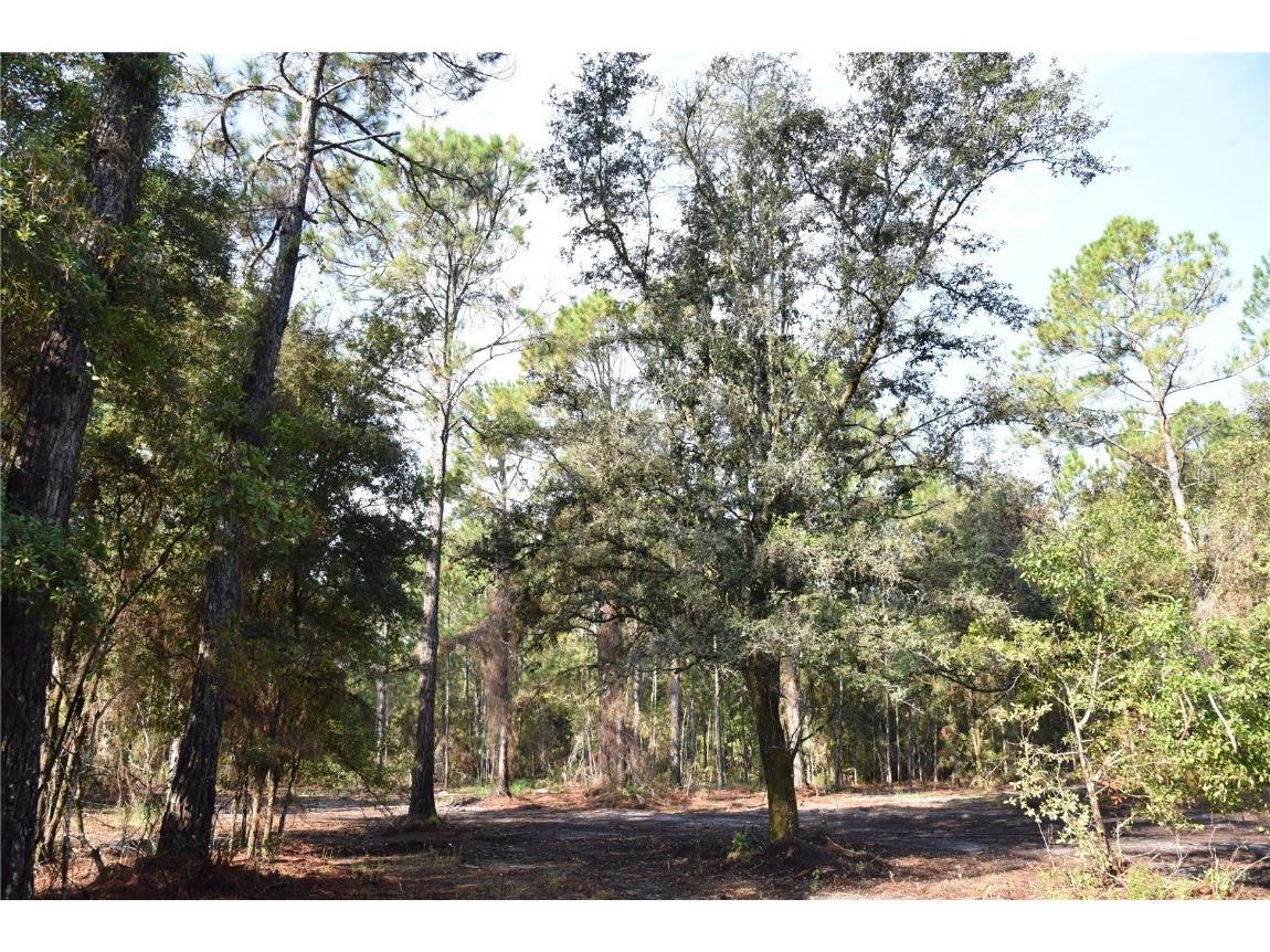 180 Caravelle Farms Road Palatka FL 32177 OM709724 image19