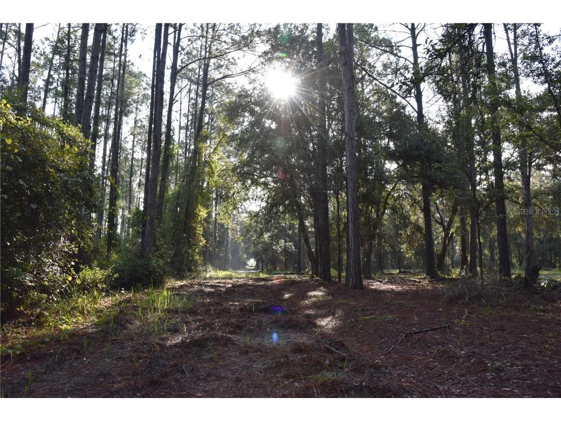 180 Caravelle Farms Road Palatka FL 32177 OM709724 image2