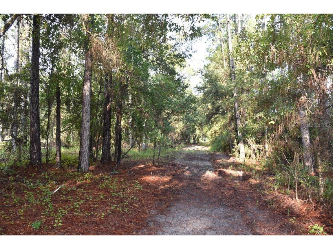 180 Caravelle Farms Road Palatka FL 32177 OM709724 image20