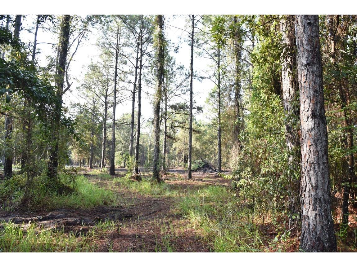 180 Caravelle Farms Road Palatka FL 32177 OM709724 image21