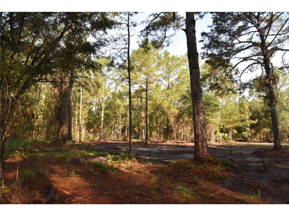 180 Caravelle Farms Road Palatka FL 32177 OM709724 image25