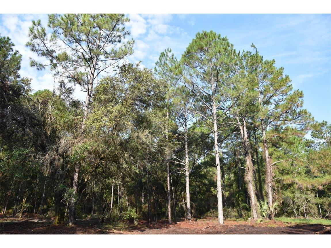 180 Caravelle Farms Road Palatka FL 32177 OM709724 image26