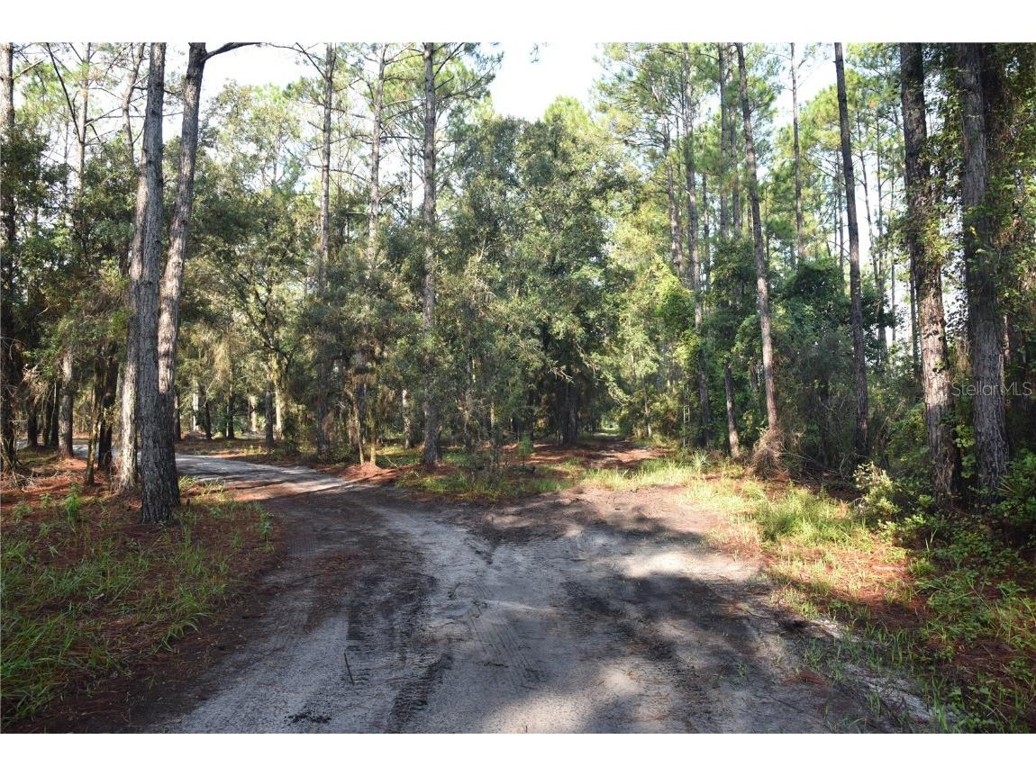 180 Caravelle Farms Road Palatka FL 32177 OM709724 image28