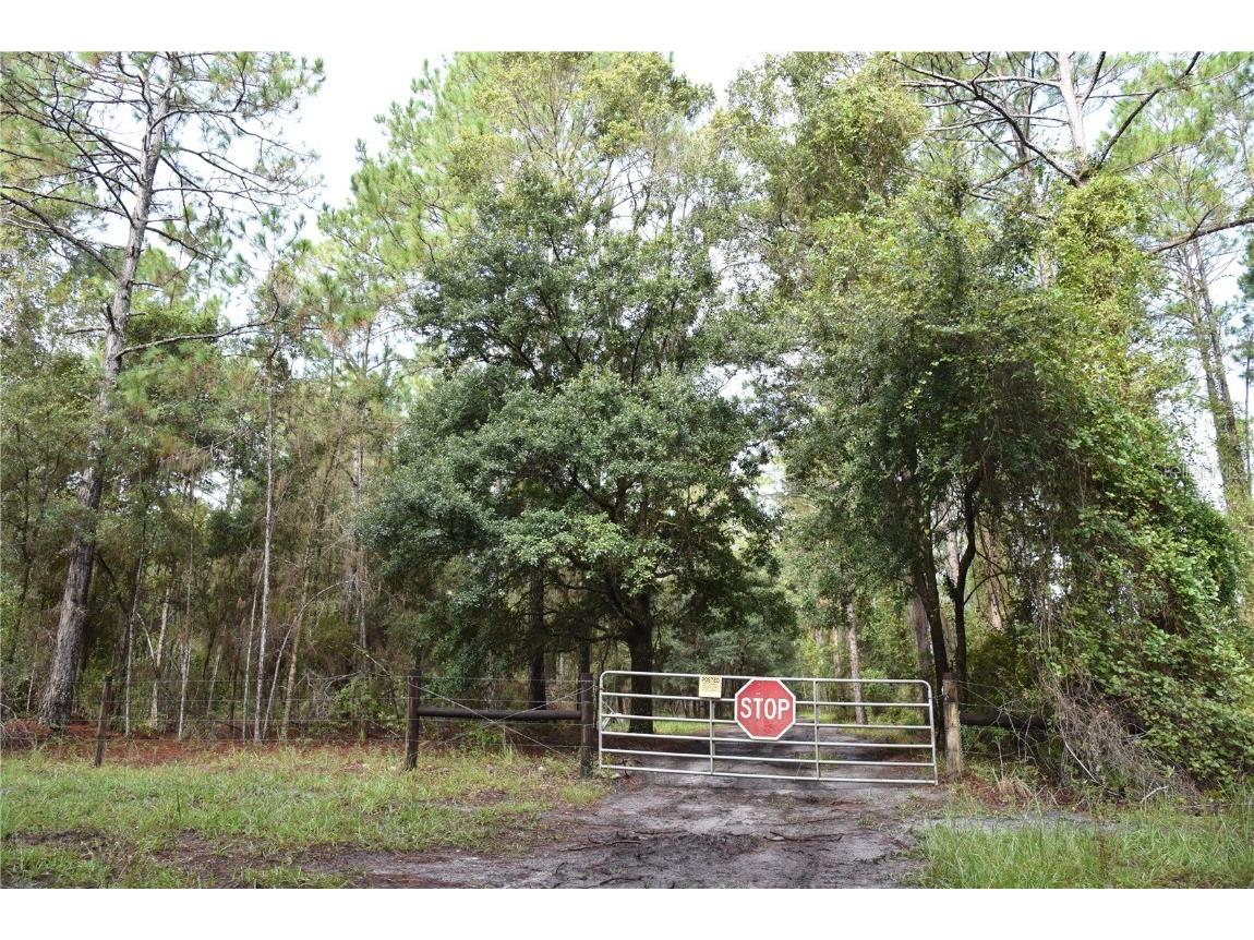 180 Caravelle Farms Road Palatka FL 32177 OM709724 image3