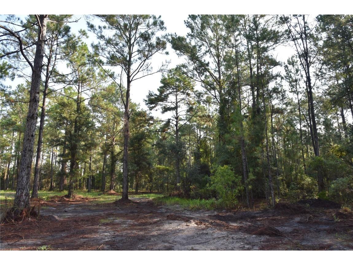 180 Caravelle Farms Road Palatka FL 32177 OM709724 image36