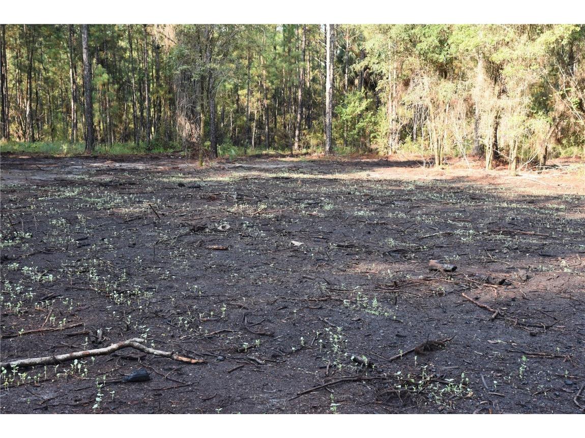 180 Caravelle Farms Road Palatka FL 32177 OM709724 image37