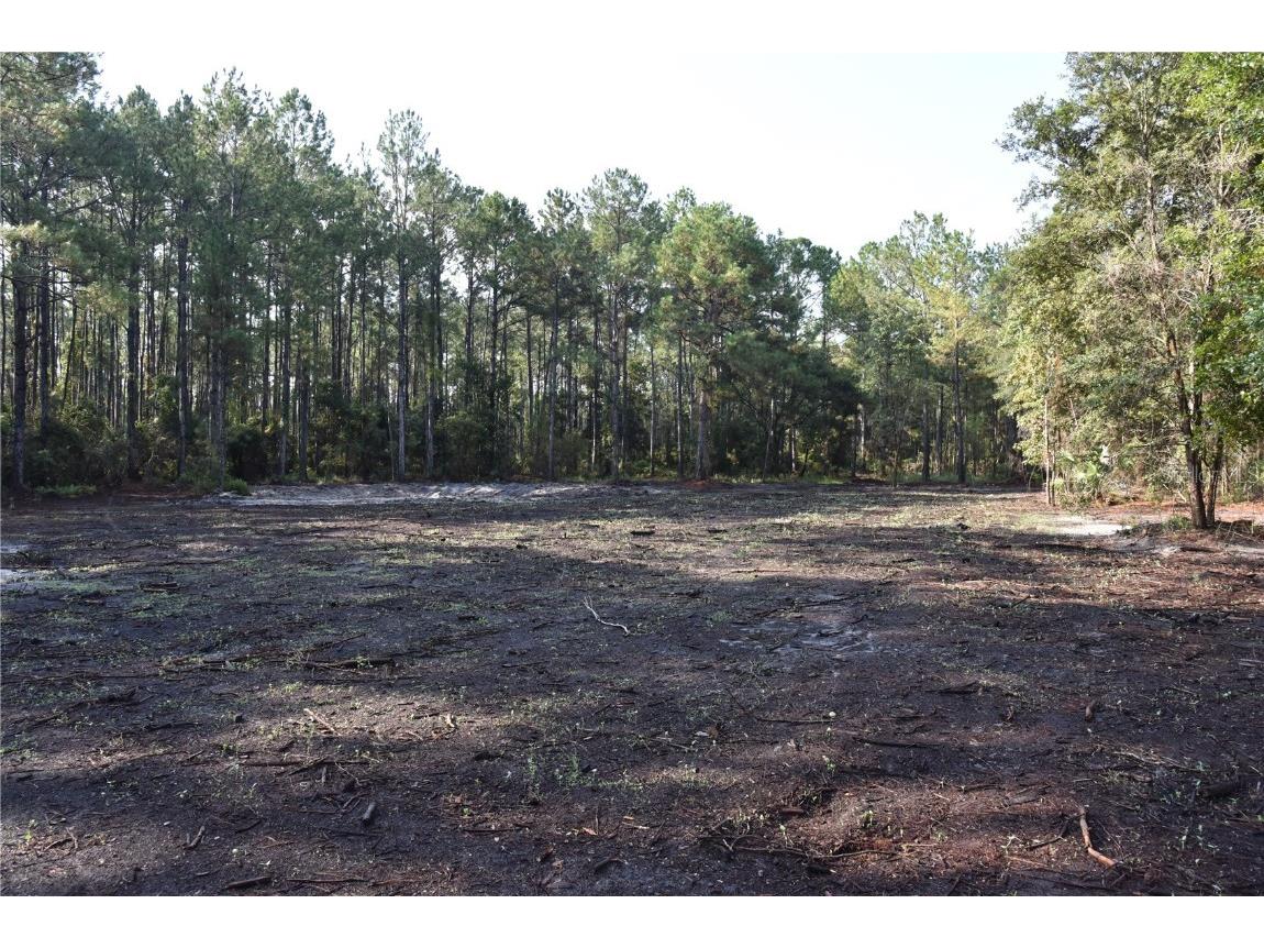 180 Caravelle Farms Road Palatka FL 32177 OM709724 image4