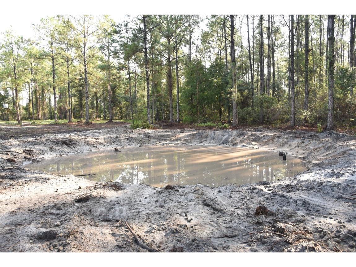 180 Caravelle Farms Road Palatka FL 32177 OM709724 image6