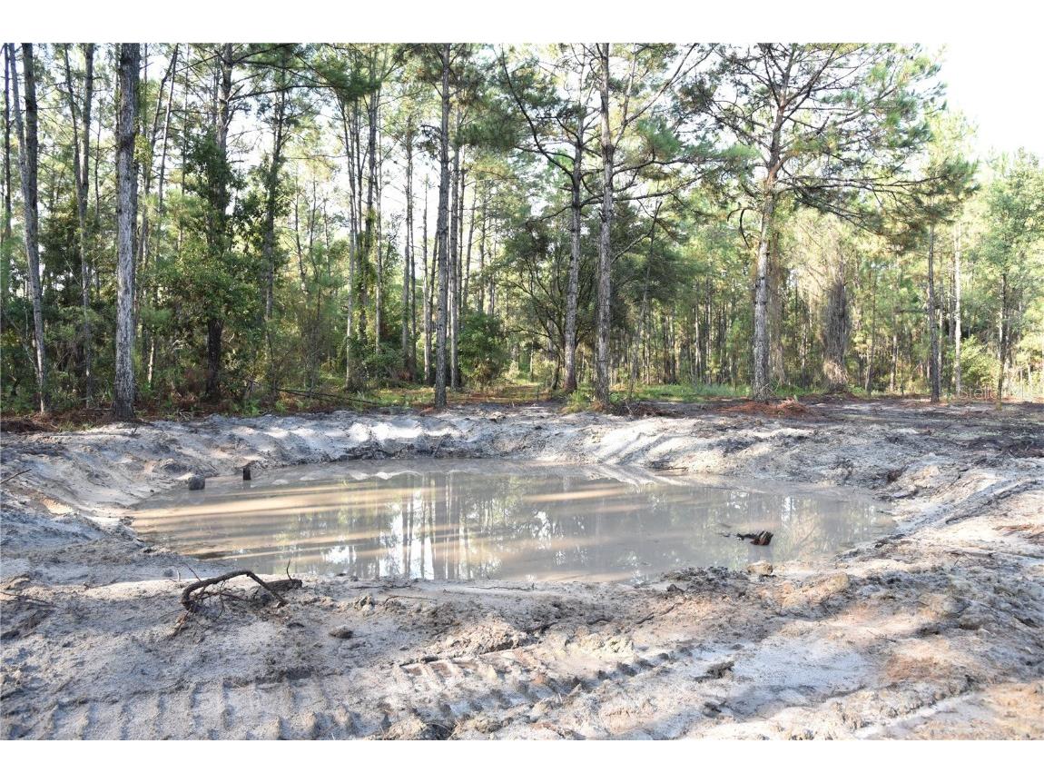 180 Caravelle Farms Road Palatka FL 32177 OM709724 image7