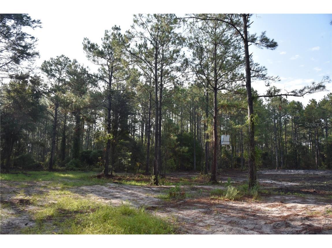 180 Caravelle Farms Road Palatka FL 32177 OM709724 image9