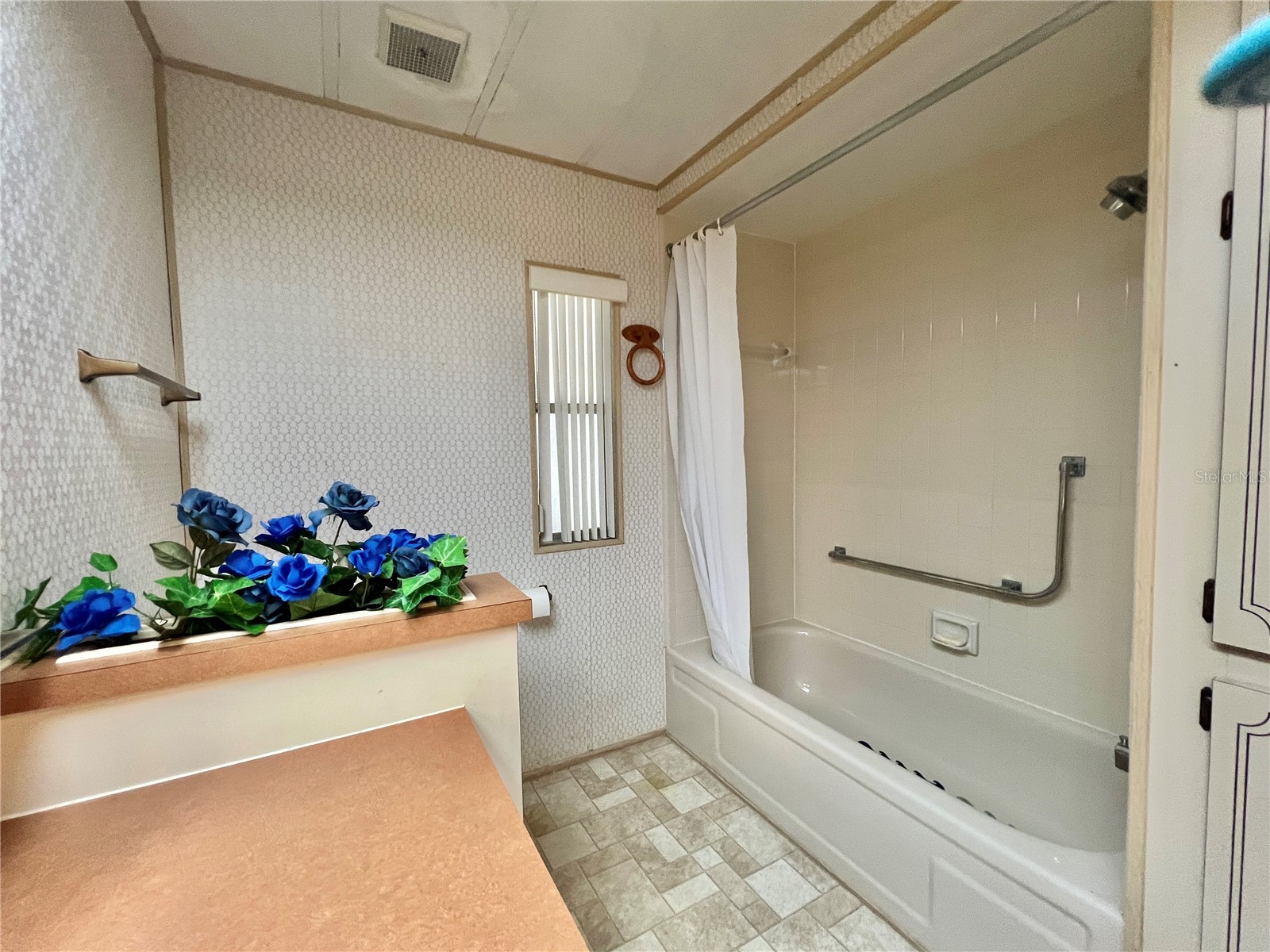 180 Hibiscus Way Leesburg FL 34748 G5106875 image25