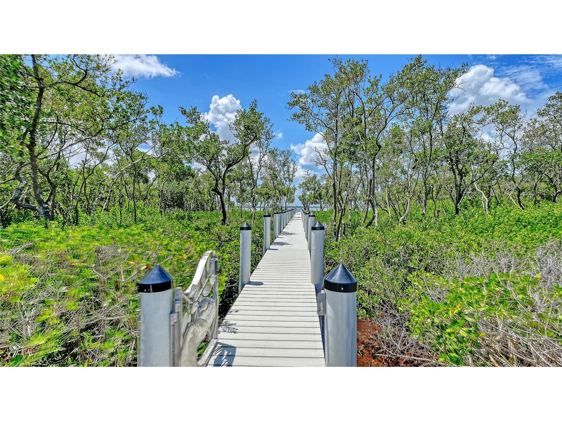 180 Horseshoe Loop Road Terra Ceia FL 34250 - TERRA CEIA BAY A4699550 image3