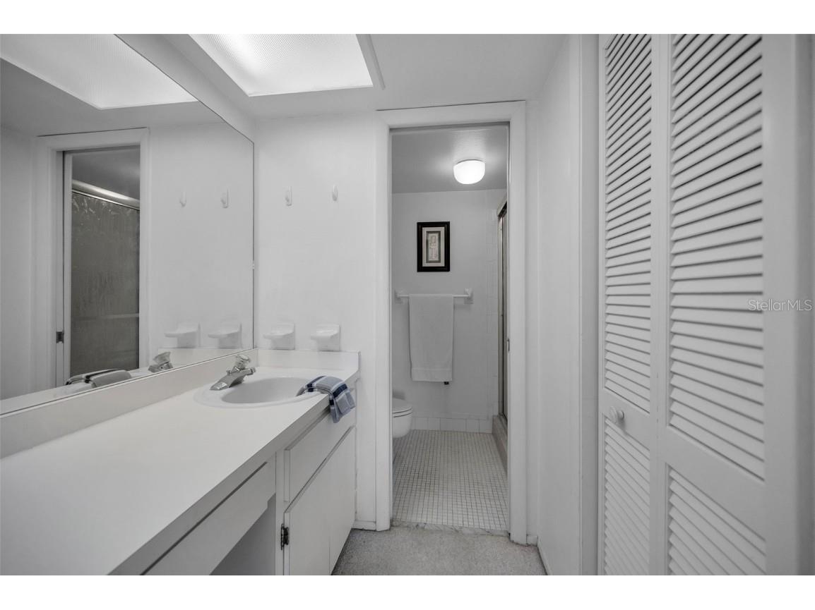 180 Lakeview Way #180 Oldsmar FL 34677 TB8400228 image30