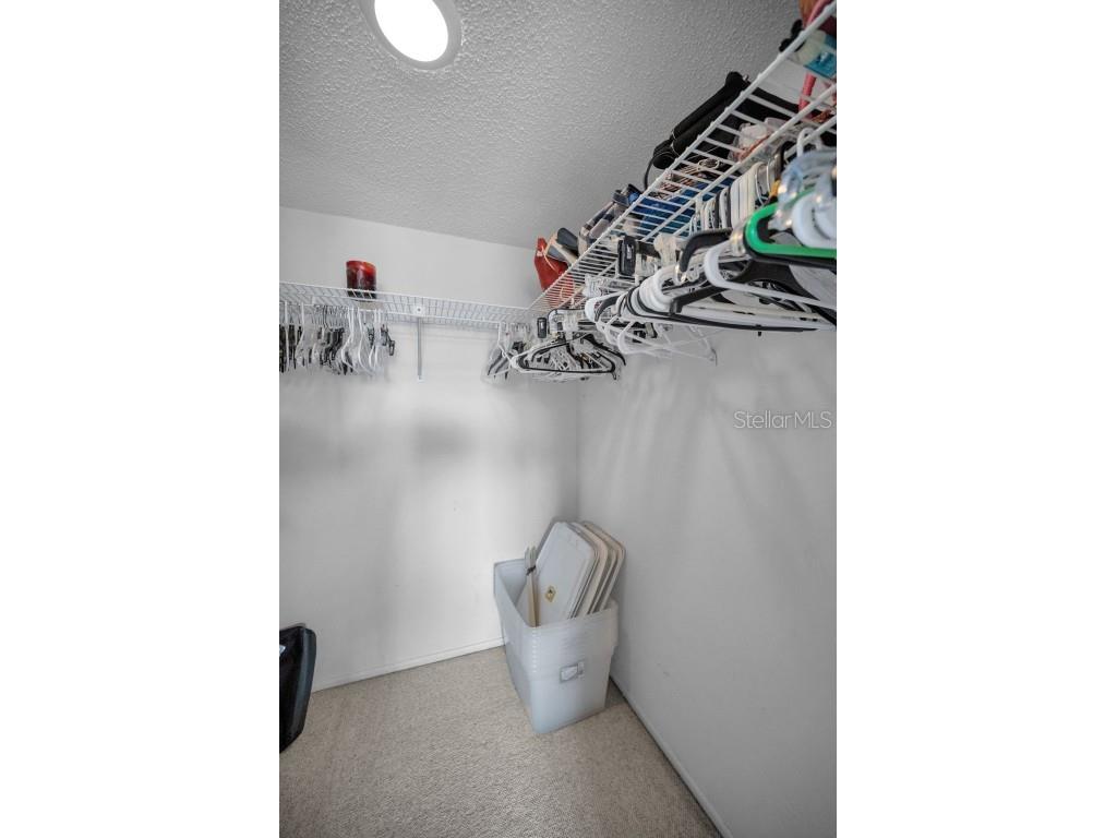 180 Lakeview Way #180 Oldsmar FL 34677 TB8400228 image33