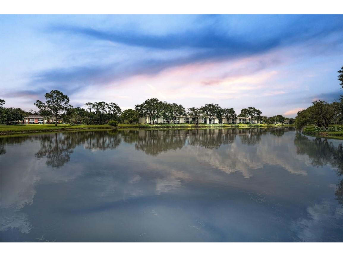 180 Lakeview Way #180 Oldsmar FL 34677 TB8400228 image38