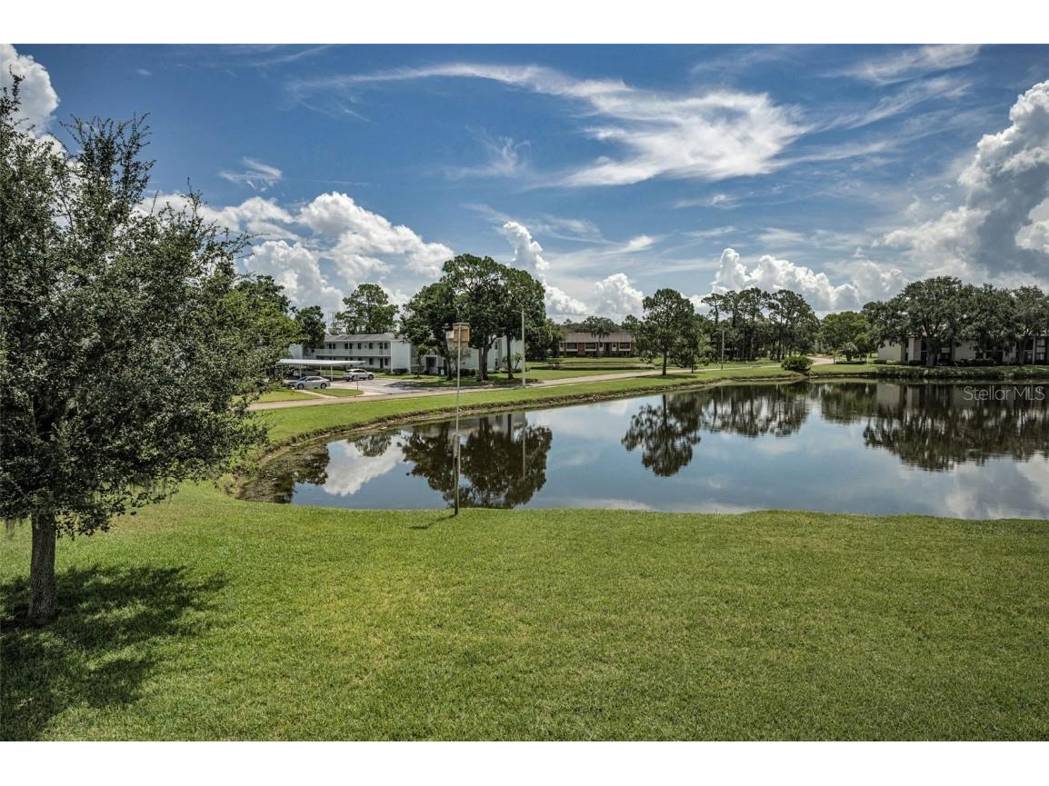 180 Lakeview Way #180 Oldsmar FL 34677 TB8400228 image39