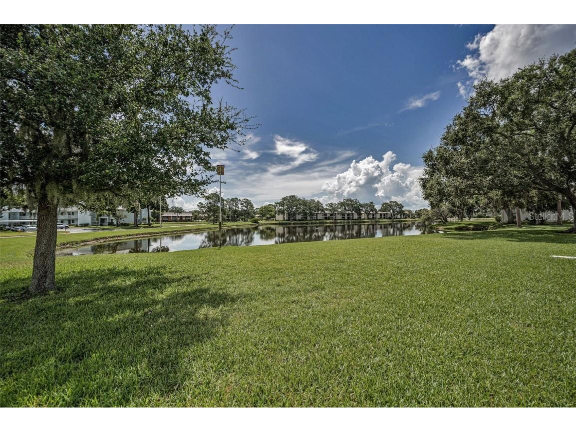 180 Lakeview Way #180 Oldsmar FL 34677 TB8400228 image40
