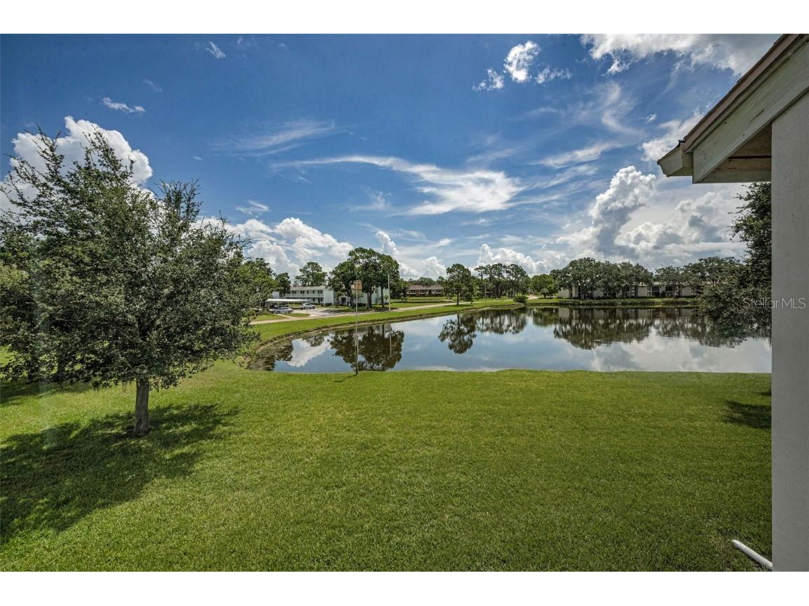 180 Lakeview Way #180 Oldsmar FL 34677 TB8400228 image41