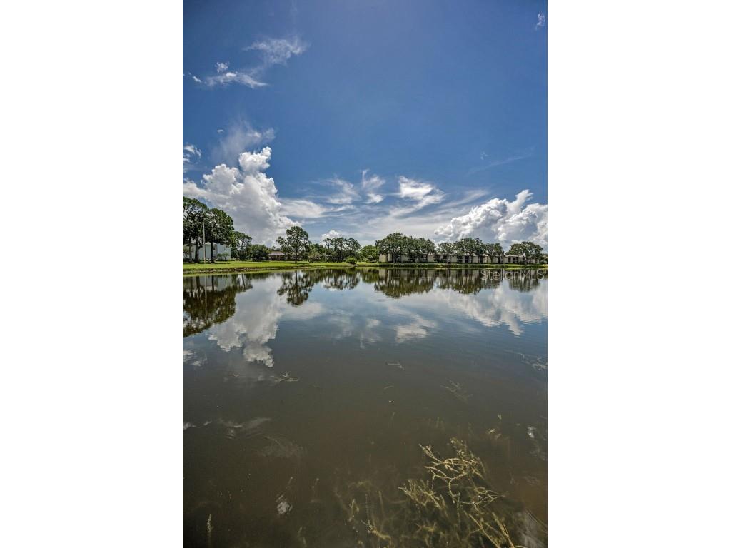 180 Lakeview Way #180 Oldsmar FL 34677 TB8400228 image42