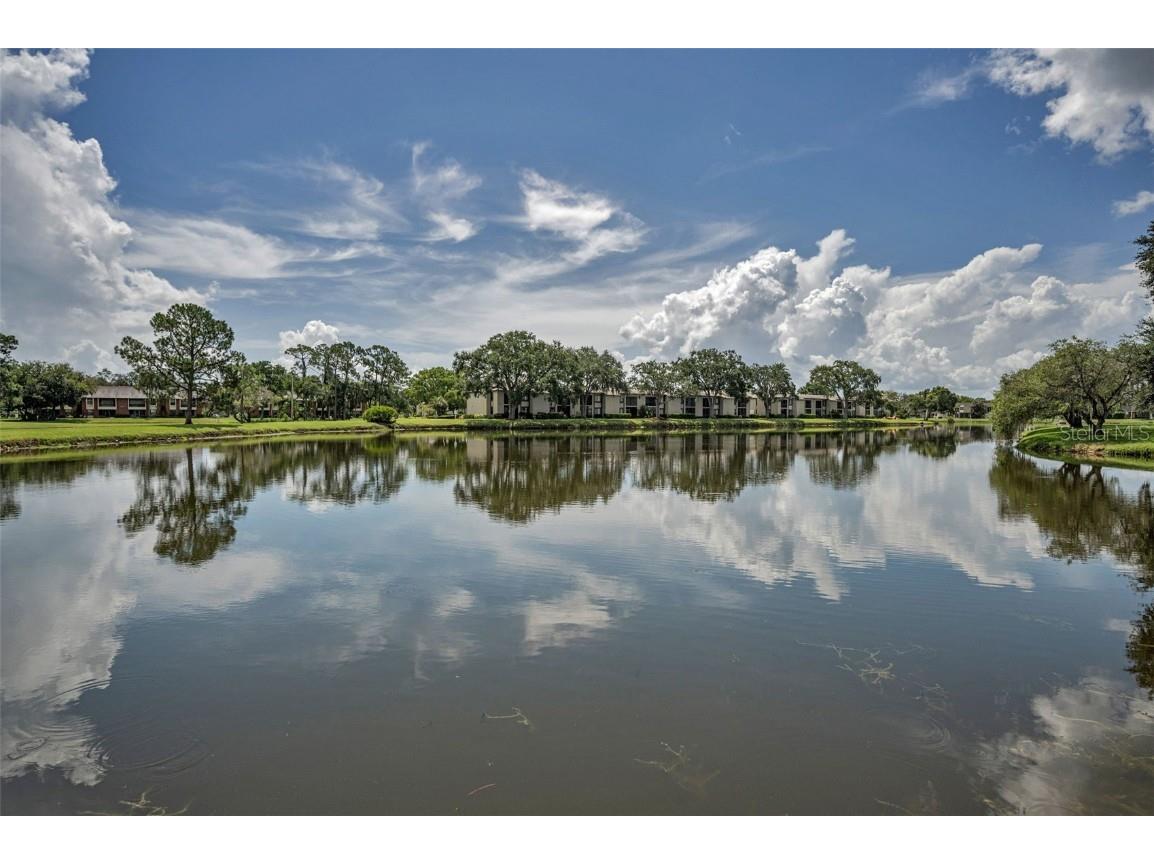 180 Lakeview Way #180 Oldsmar FL 34677 TB8400228 image43