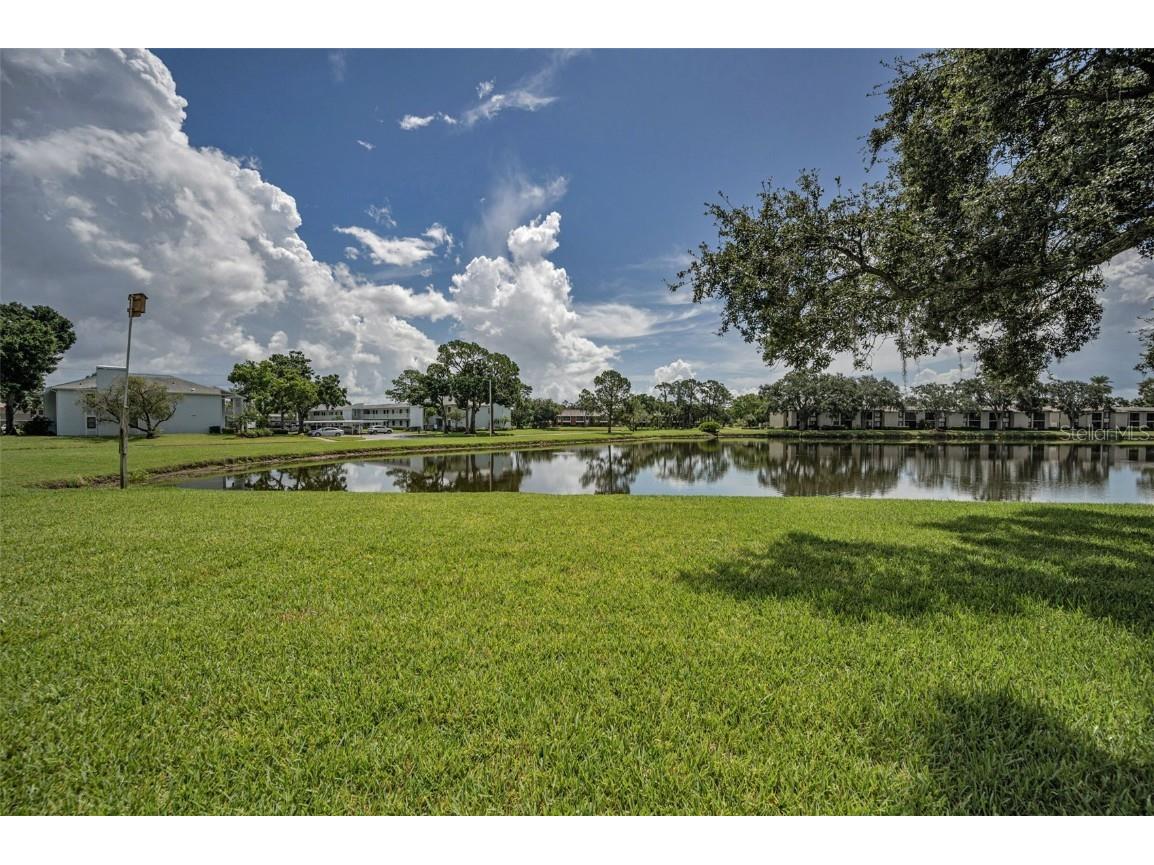 180 Lakeview Way #180 Oldsmar FL 34677 TB8400228 image44