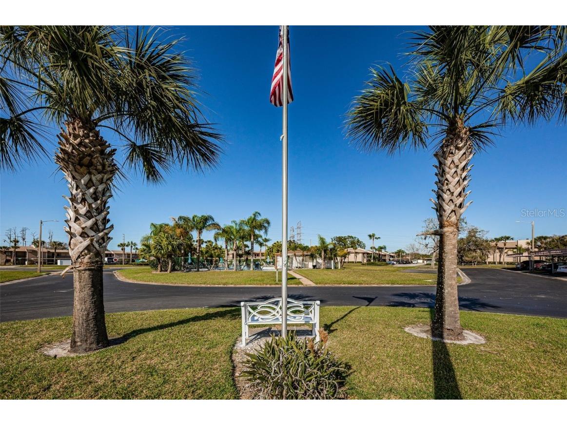 180 Lakeview Way #180 Oldsmar FL 34677 TB8400228 image52