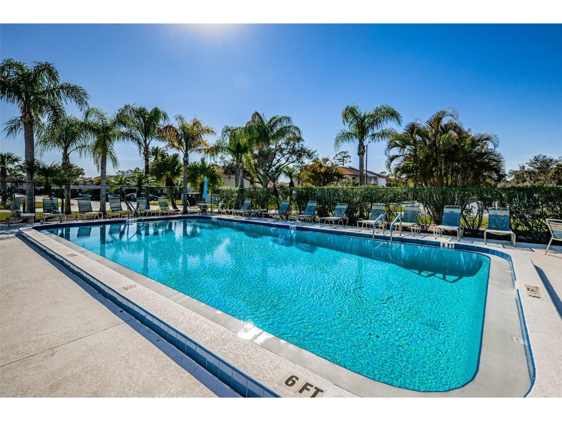 180 Lakeview Way #180 Oldsmar FL 34677 TB8400228 image58