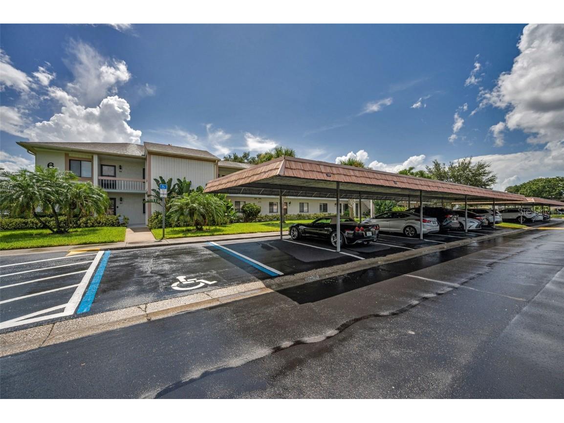 180 Lakeview Way #180 Oldsmar FL 34677 TB8400228 image6