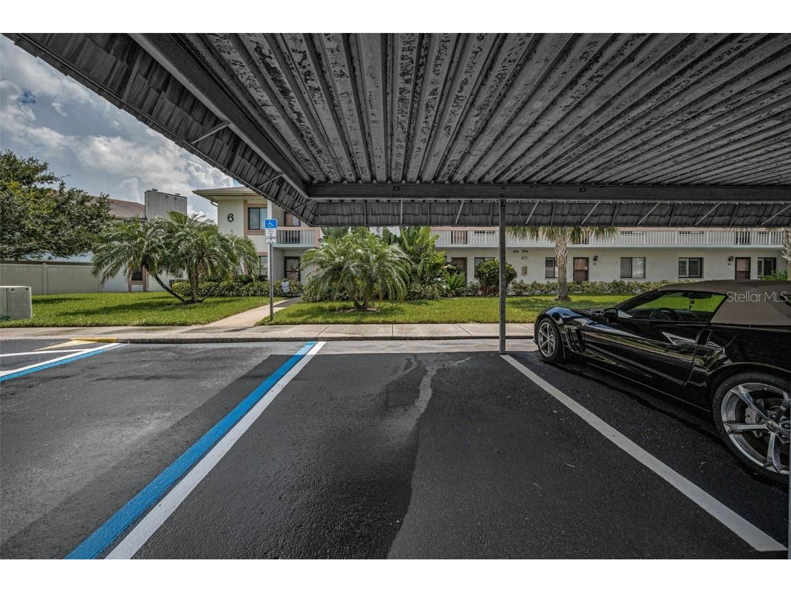 180 Lakeview Way #180 Oldsmar FL 34677 TB8400228 image7