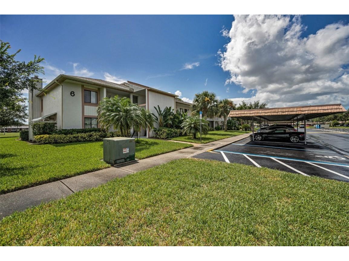 180 Lakeview Way #180 Oldsmar FL 34677 TB8400228 image8