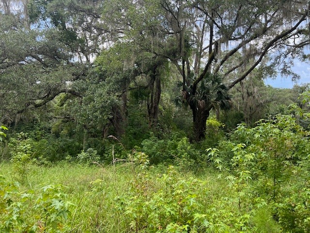 180 NW Church (7th) Avenue Micanopy FL 32667 GC523628 image1