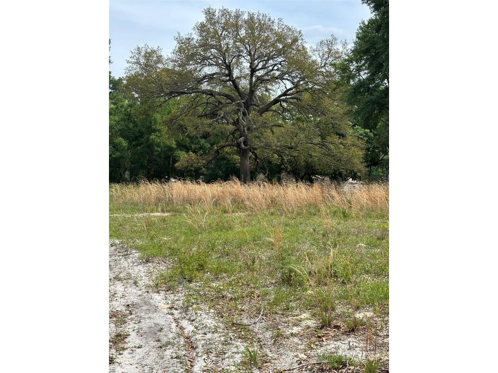 180 SE 165th Court Road Silver Springs FL 34488 OM677884 image1