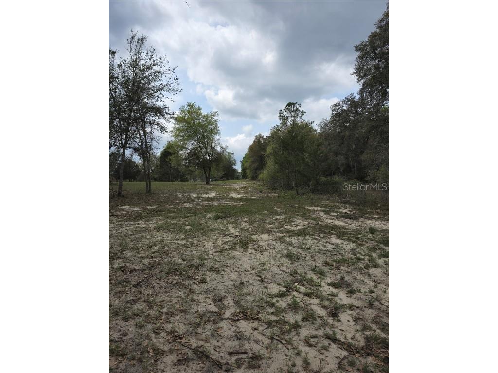 180 SE 165th Court Road Silver Springs FL 34488 OM698250 image4
