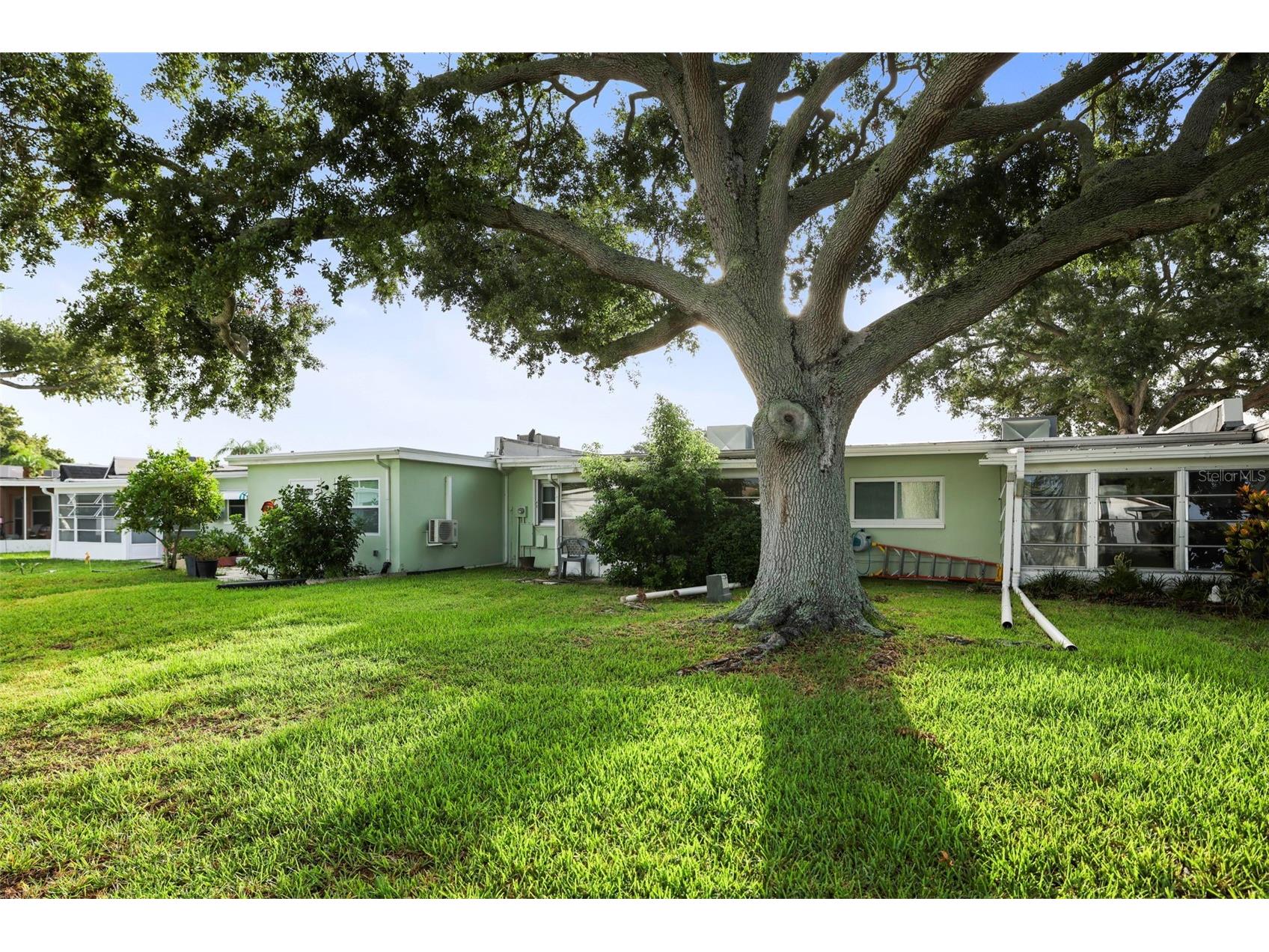 180 Sky Loch Drive W Dunedin FL 34698 TB8528643 image24